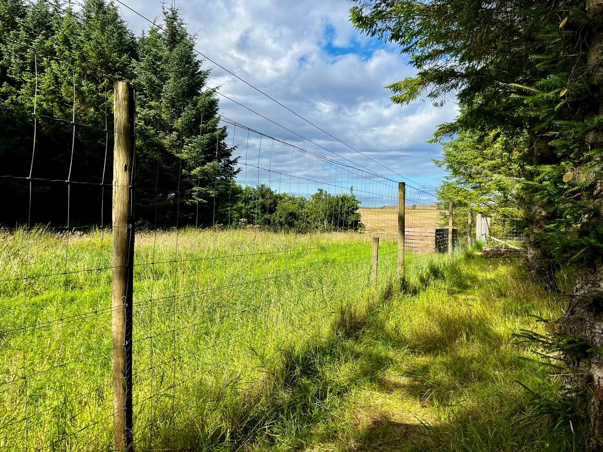 Secure fence line with the open meadow and countryside beyond